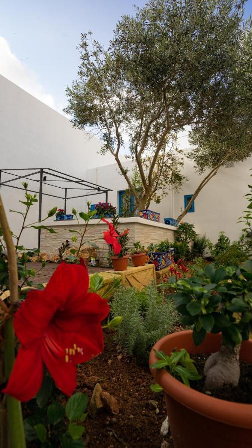 Bed and Breakfast Solemare Надур Экстерьер фото